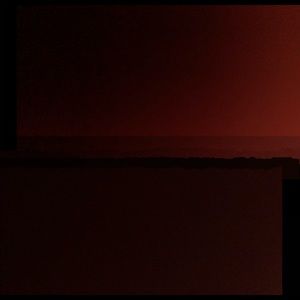 Meet your Posher, Reese